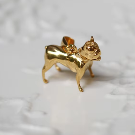 Dijesito