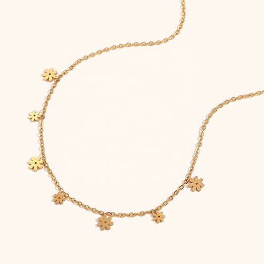 Cadena Multiflorsitas