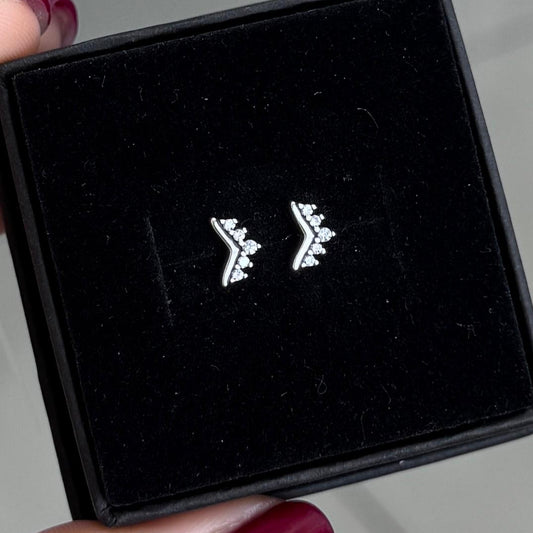 ARETES FLECHA